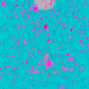 主机转化小鲤导航
