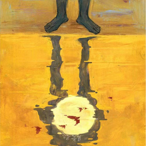 主机转化小鲤导航
