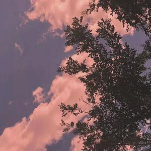 主机转化小鲤导航
